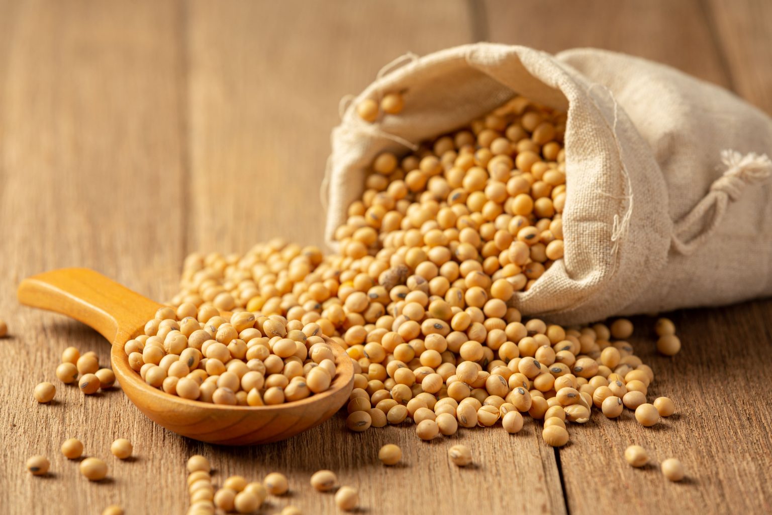 5 Bahan Alternatif Pengganti Emulsifier