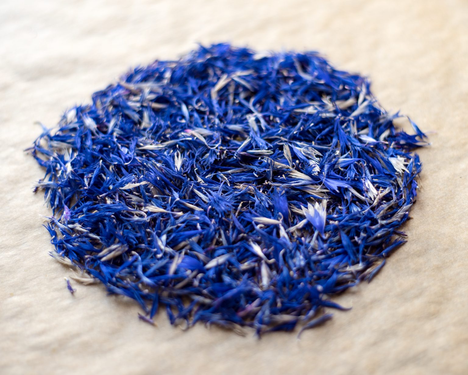 Berikut Pewarna Biru Alami Yang Paling Sering Digunakan