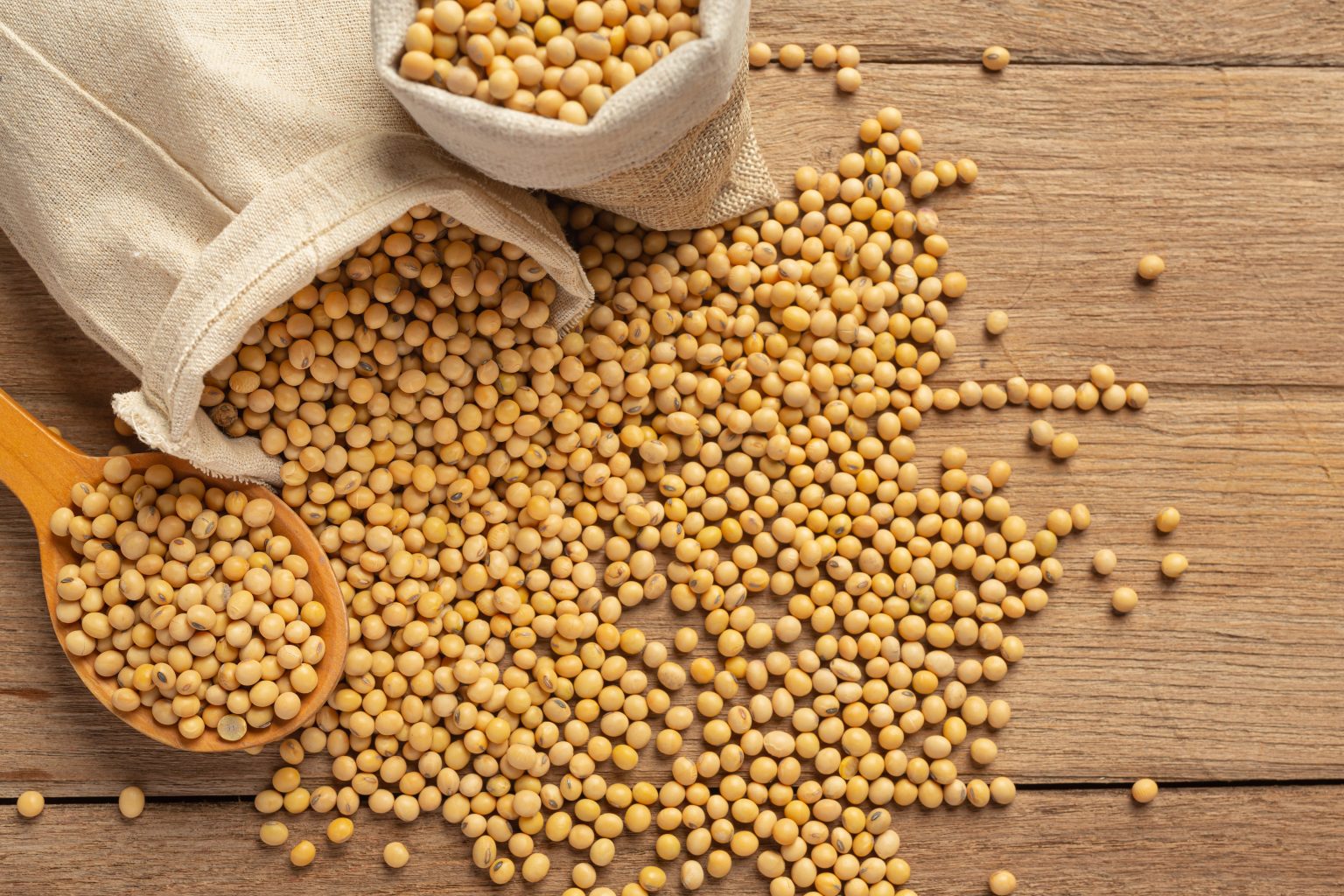 Mengenal Emulsifier Nabati Lesitin Kedelai