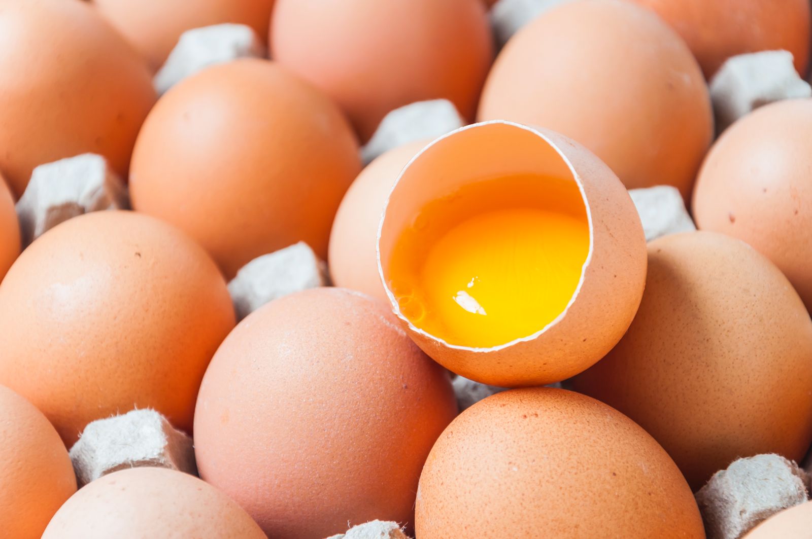 Telur Ayam vs. Telur Bebek:  Jenis Telur Mempengaruhi Tekstur dan Rasa Adonan